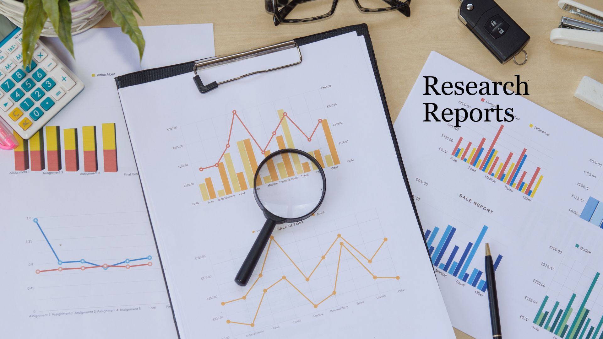 Research Reports