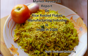 Market Research Report on Rice Roasted Flakes Manufacturing Industry